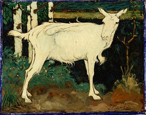 Koza (olej na płótnie)