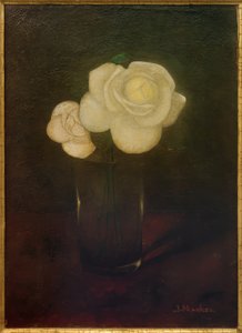 Kamelie w szklance