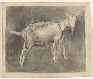 stojąca koza autorstwa Jan Mankes