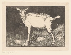 biała koza autorstwa Jan Mankes