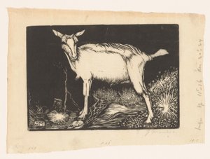 biała koza autorstwa Jan Mankes