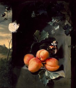 Martwa natura z morelami i motylami, 1683
