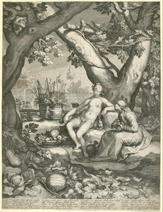 Vertumnus pożycza postać starej kobiety, aby zdobyć miłość Pomony autorstwa Jan Pietersz. Saenredam