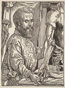 Andre Vesale, kopia Borisa Mestchersky