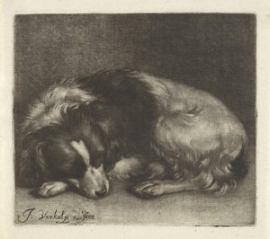 Śpiący pies, ewentualnie spaniel autorstwa Jan Verkolje (I)