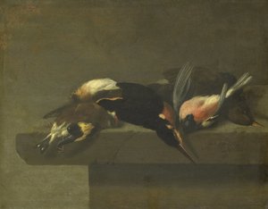 Martwe ptaki autorstwa Jan Vonck