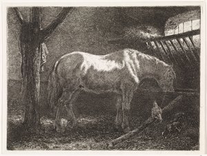 Koń w stajni
