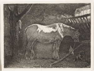 Koń w stajni