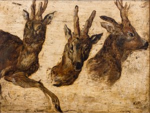 Brokatowa głowa (olej na płótnie) autorstwa Jan the Elder Brueghel