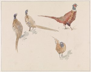 Cztery bażanty autorstwa Jan van Essen