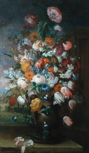 Kwiaty, Studia z Irysami, 1682 autorstwa Jan van Huysum