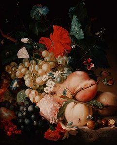 Mieszane kwiaty i owoce z owadami na marmurowym cokole autorstwa Jan van Huysum