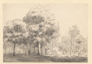 Widok na Haarlemmerhout, Haarlem autorstwa Jan van Kessel (attributed to)