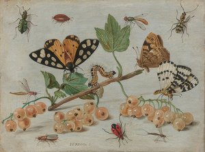 Owady i owoce. Około 1660-65 autorstwa Jan van Kessel the Elder