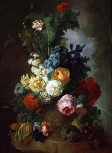 Martwa natura z różami i delphiniums. Obraz Jana van Osa (1744-1808). Kolekcja prywatna.