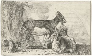 kozy Zwierzęta (tytuł serii) Zoografia (tytuł serii)