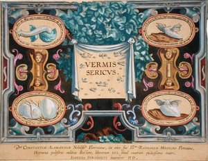 Frontyspis do „Vermis Sericus” (Jedwabnik) grawerowany przez Theodora Galle (1571-1633) (grafika) autorstwa Jan van der Straet