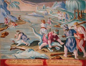Zabijanie krokodyli za pomocą kijów i maczug, płyta 88 z „Venationes Ferarum, Avium, Piscium” (O polowaniu: dzikie zwierzęta, ptaki, ryby) grawerowane przez Jana Collaerta (1566-1628) opublikowane przez Phillipusa Gallaeusa z Amsterdamu (ręcznie kolorowane