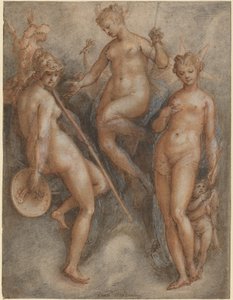 Trzy Boginie: Minerwa, Junona i Wenus, ok. 1587 (pióro i brązowy tusz oraz czarno-czerwona kreda wzmocniona bielą na papierze wykładanym) autorstwa Jan van der Straet