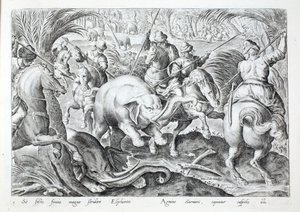 Słonie robią wielki hałas, gdy są uderzane włóczniami myśliwych, ilustracja z „Venationes, Ferarum, Avium, Piscium” (O polowaniu: dzikie zwierzęta, ptaki, ryby), ryt. Jan Collaert (1566-1628), wyd. Phillipus Gallaeus, Amsterdam (rycina) autorstwa Jan van der (1523 1605) Straet