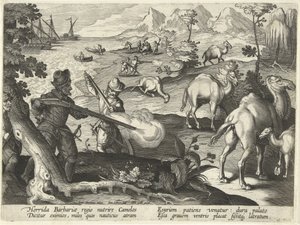 Marynarze w okropnym kraju barbarzyńców zabijają wielbłądy muszkietami, aby zaspokoić głód, ilustracja z „Venationes, Ferarum, Avium, Piscium” (O polowaniu: dzikie zwierzęta, ptaki, ryby), ryt. Jan Collaert (1566-1628), wyd. przez Phillipusa Gallaeusa, Ams autorstwa Jan van der (1523 1605) Straet