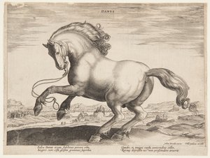 Koń duński, z czwartego zestawu „Equile Joannis Austriaci” autorstwa Jan van der Straet, called Stradanus