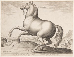 Koń francuski, z pierwszego zestawu „Equile Joannis Austriaci” autorstwa Jan van der Straet, called Stradanus