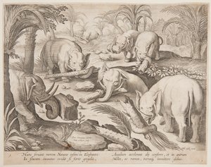 Słonie trzymające się nawzajem z pułapki, płyta 1 z serii Game of Animals, Birds and Fish autorstwa Jan van der Straet, called Stradanus