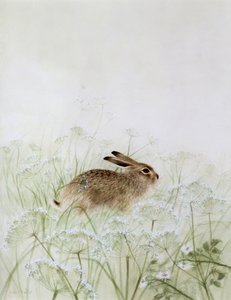Królik autorstwa Jane Neville