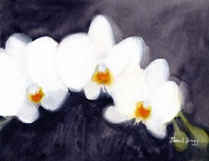 Orchidea White Phalaenopsis, ok. 2021 (akwarela i kazeina na papierze) autorstwa Janel Bragg