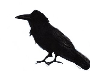 Raven at Baker Beach, ok. 2023 (mieszane media na papierze) autorstwa Janel Bragg