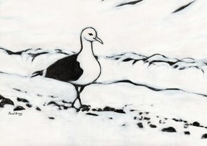 Mewa z Washington Park, ok. 2017 (węgiel i gesso na papierze) autorstwa Janel Bragg