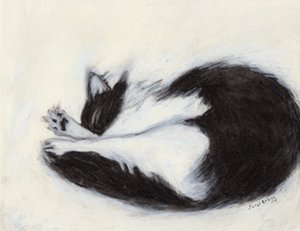 Thomas ucinający sobie drzemkę, ok. 2018 (węgiel i pastel na papierze)