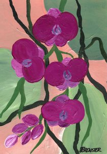  autorstwa Janine Brewster