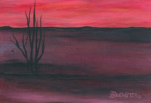  autorstwa Janine Brewster