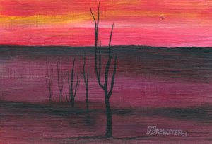  autorstwa Janine Brewster