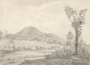 Jawajski krajobraz z górą i palmą autorstwa Jannes Theodorus Bik