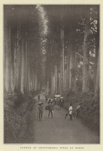 Aleja sosen Cryptomeria w Nikko