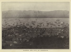 Port i miasto Hakodate
