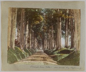 Imaichi Road, Nikko, Japonia (ręcznie kolorowane czarno-białe zdjęcie) autorstwa Japanese Photographer