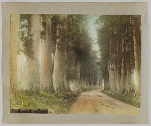 Imaichi Road, Nikko, Japonia (ręcznie kolorowane czarno-białe zdjęcie) autorstwa Japanese Photographer