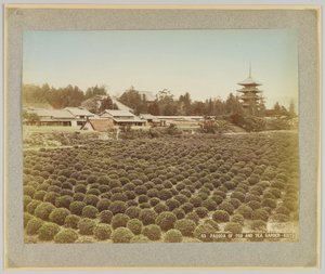 Pagoda Tōji i Ogród Herbaciany, Kioto, Japonia (zdjęcie ręcznie kolorowane czarno-białe) autorstwa Japanese Photographer