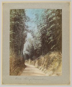 Droga przez bambusowy gaj, Japonia (ręcznie kolorowane czarno-białe zdjęcie) autorstwa Japanese Photographer