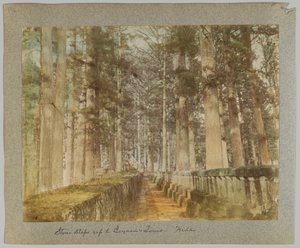 Kamienne schody do grobowca Ieyasu, Nikko, Japonia (ręcznie kolorowane czarno-białe zdjęcie) autorstwa Japanese Photographer