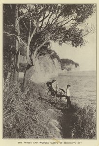 Białe i zalesione klify zatoki Missisipi autorstwa Japanese Photographer
