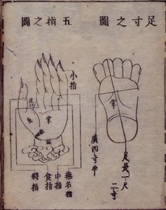 16029.b.5 fol.15v Diagram przedstawiający punkty akupunktury w dłoniach i stopach, z japońskiego komentarza do chińskiego dzieła o akupunkturze, Shisijing fahui z 1341 roku autorstwa Hua Shou, Kyoto autorstwa Japanese School