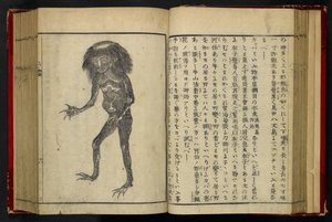 16084.d.15, f.24 A Neneko Kappa, z „Tonegawa Zushi” Akamatsu Sōtana, publ.1855 (drzewryt) autorstwa Japanese School