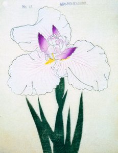 Płytki. -Kasumi Arimura. 43, 1898 r autorstwa Japanese School