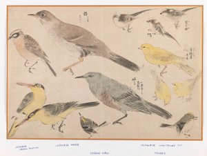 Ptaki w stylu Okyo (kolorowy druk drewna) autorstwa Japanese School