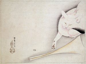 Kot, rysunek japoński, b.d. 19 wiek. autorstwa Japanese School
